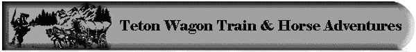 wagon t logo